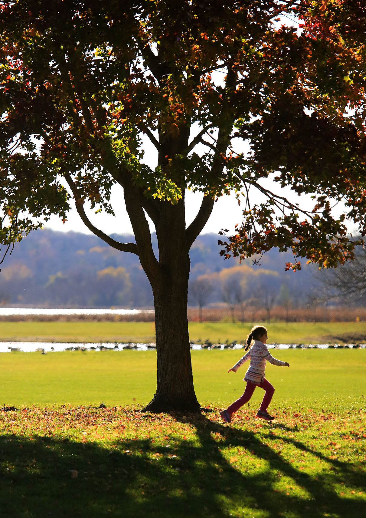 Fall frolic